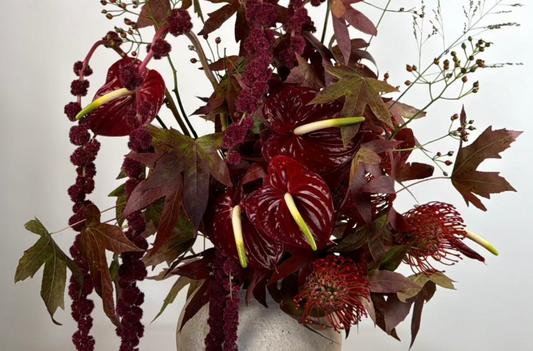 The Scarlet O'Hara - Dramatic and fiery, perfect for center stage.